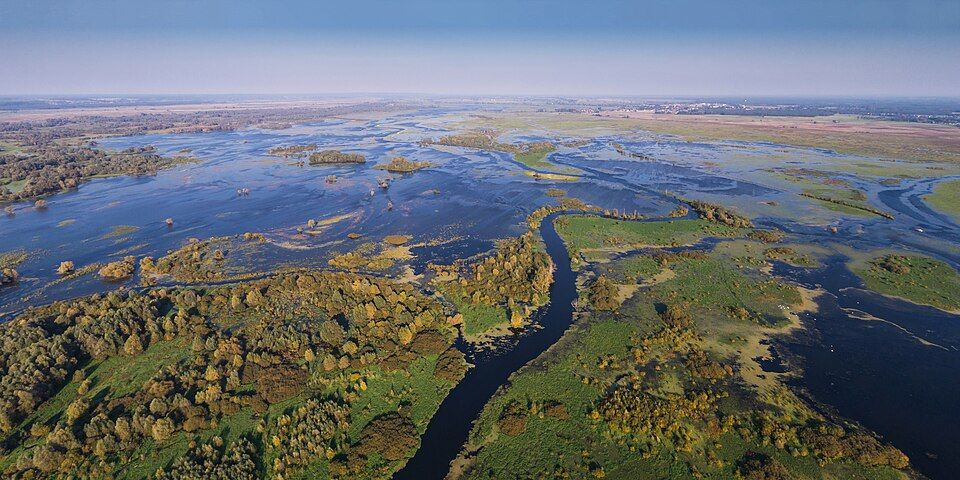 Aerial view of waterways, wetlands, and wooded islands